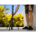FIXED Creator Tripod - 1484717 - zdjęcie 4